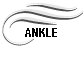 ANKLE